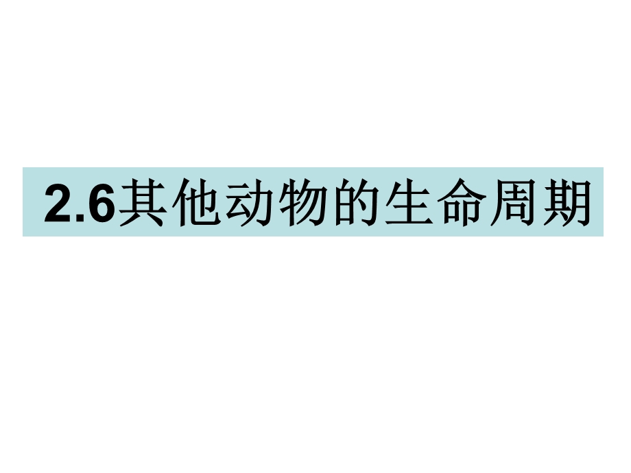 三年级下册科学课件2.6其他动物的生命周期 教科版(共14张PPT).ppt_第1页