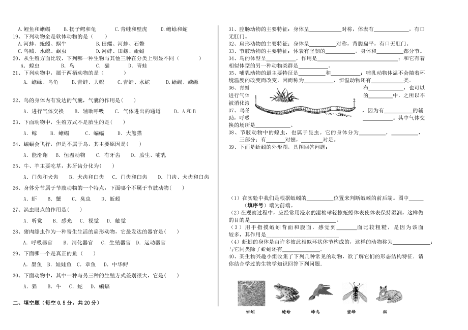 最新八年级上生物第一次月考试卷副本汇编.doc_第2页