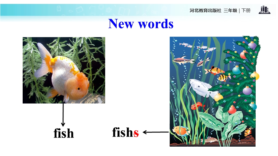 三年级下册英语课件Unit 1 Lesson 3 Fish and Birds∣冀教版 (三起)(共16张PPT).ppt_第3页