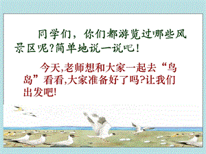 《鸟岛》PPT课件(苏教版二年级语文下册课件)2013.ppt