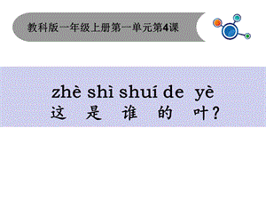 一年级上册科学课件1.4这是谁的叶6 l教科版 (共9张PPT)教学文档.ppt