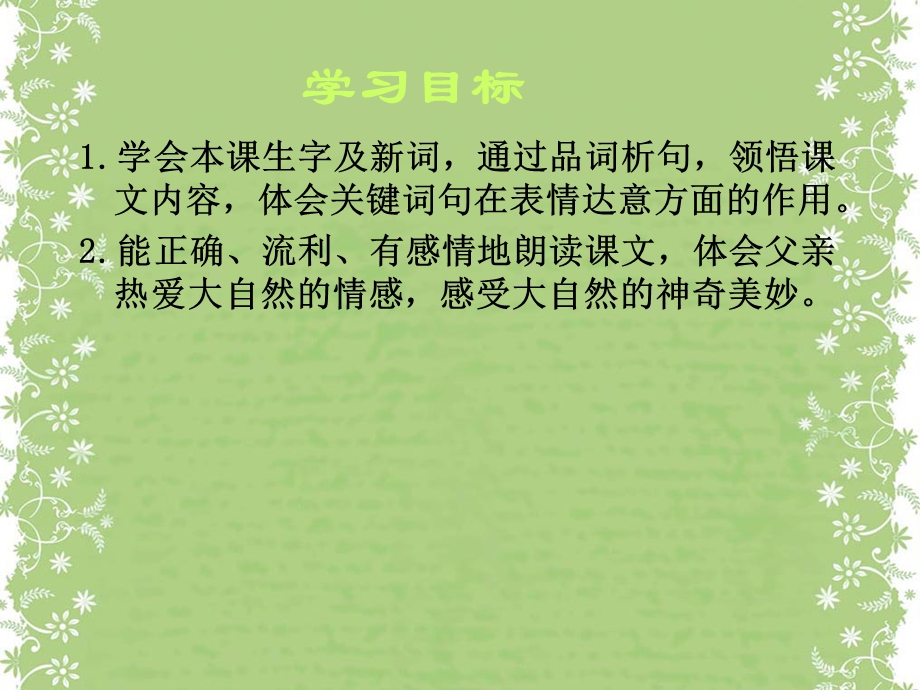 三年级下册语文课件27父亲、树林和鸟 西师大版 (共15张PPT).ppt_第2页