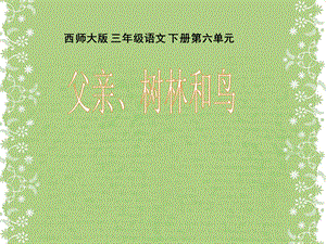 三年级下册语文课件27父亲、树林和鸟 西师大版 (共15张PPT).ppt