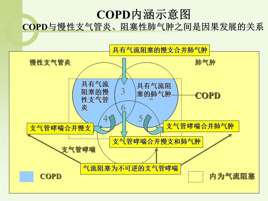 COPD病人护理PPT文档.ppt_第2页