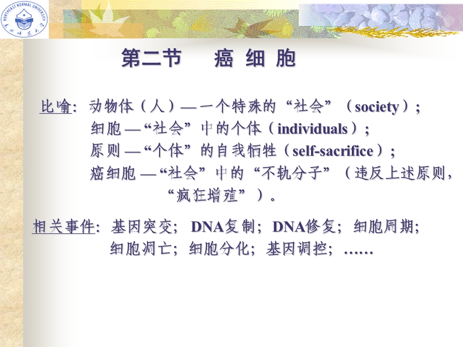 医学课件第二节癌细胞.ppt_第1页