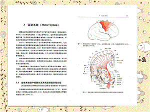 医学课件神经系统疾病定位诊断学03.ppt