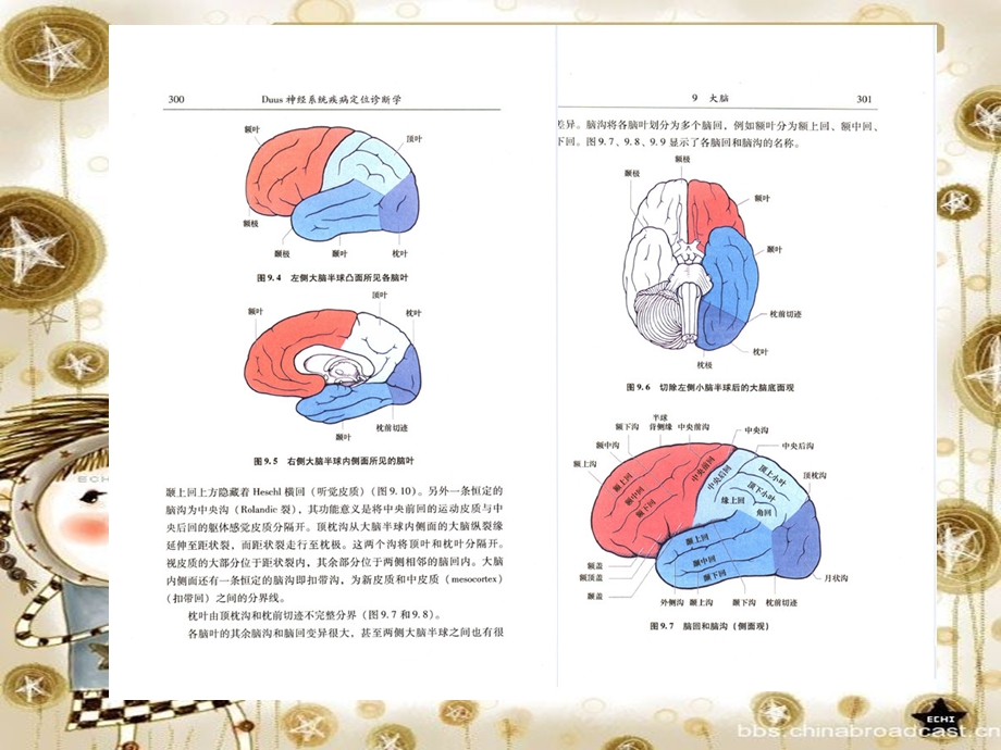 医学课件神经系统疾病定位诊断学090大脑脑脊液和脑室系统.ppt_第3页