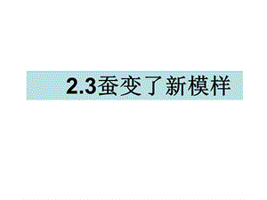 三年级下册科学课件2.3蚕变了新模样(共15张PPT).ppt