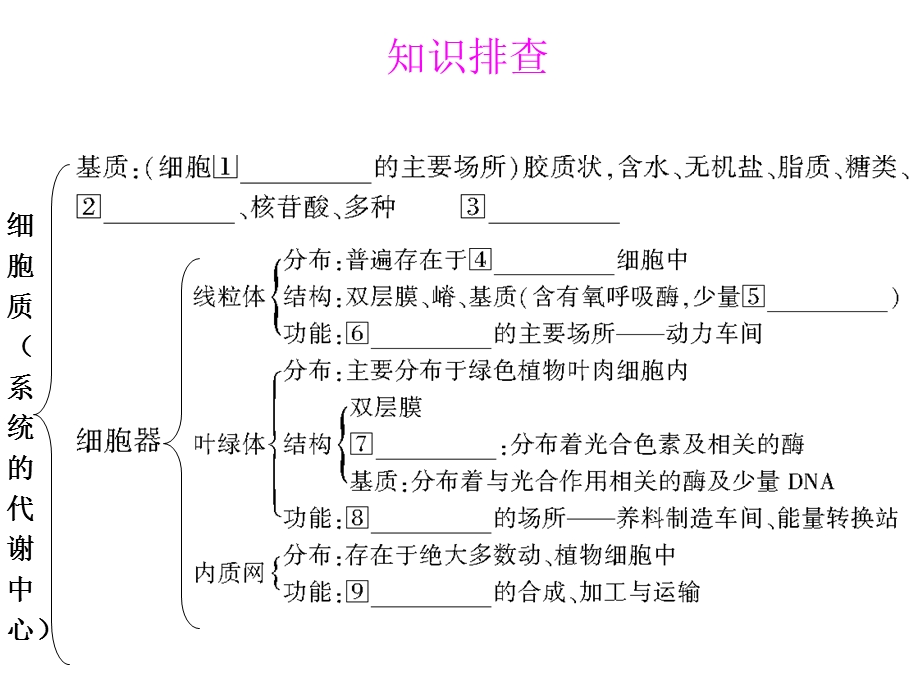 B1细胞质文档资料.ppt_第3页