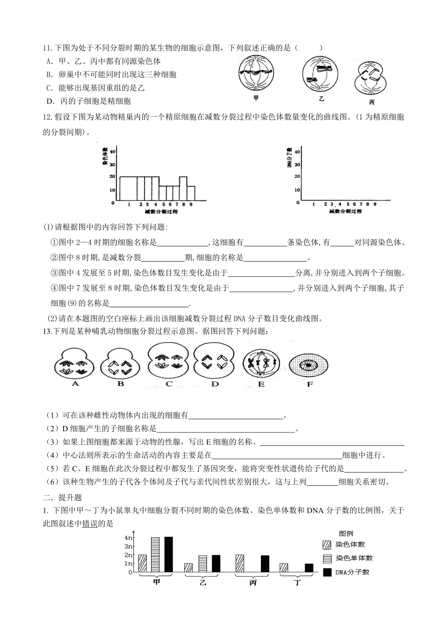 最新芳减数分裂一轮复习题汇编.doc_第2页