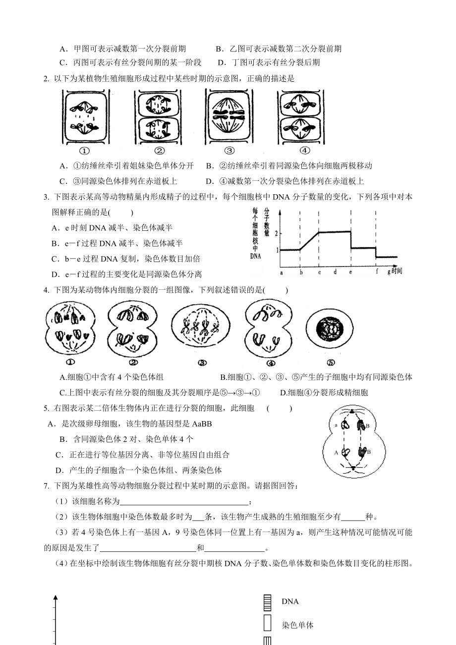 最新芳减数分裂一轮复习题汇编.doc_第3页