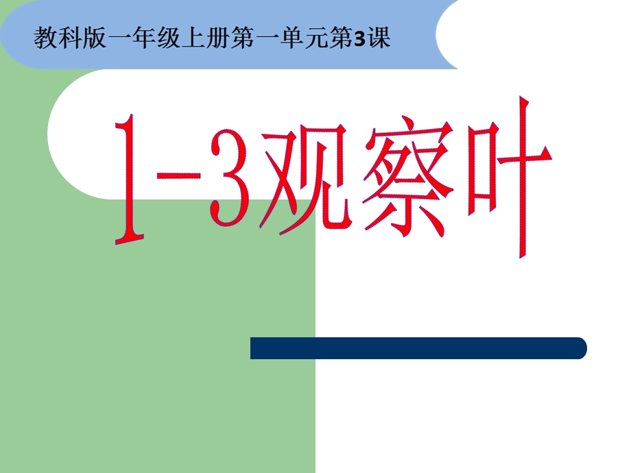 一年级上册科学课件1.3 观察叶7l 教科版 (共17张PPT)教学文档.ppt_第1页