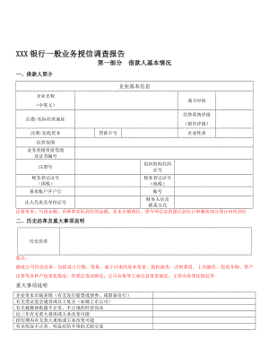 银行一般业务授信调查报告名师制作精品教学课件.doc