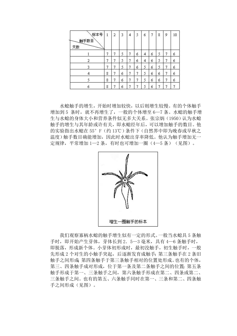 我国北方常见水螅的种类及触手数目[精选文档].doc_第2页