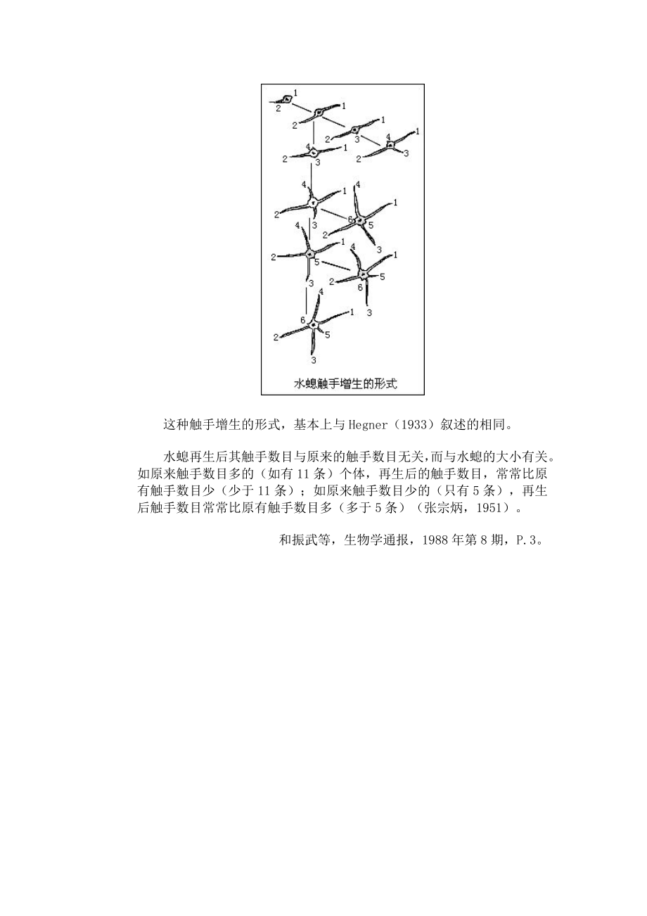 我国北方常见水螅的种类及触手数目[精选文档].doc_第3页