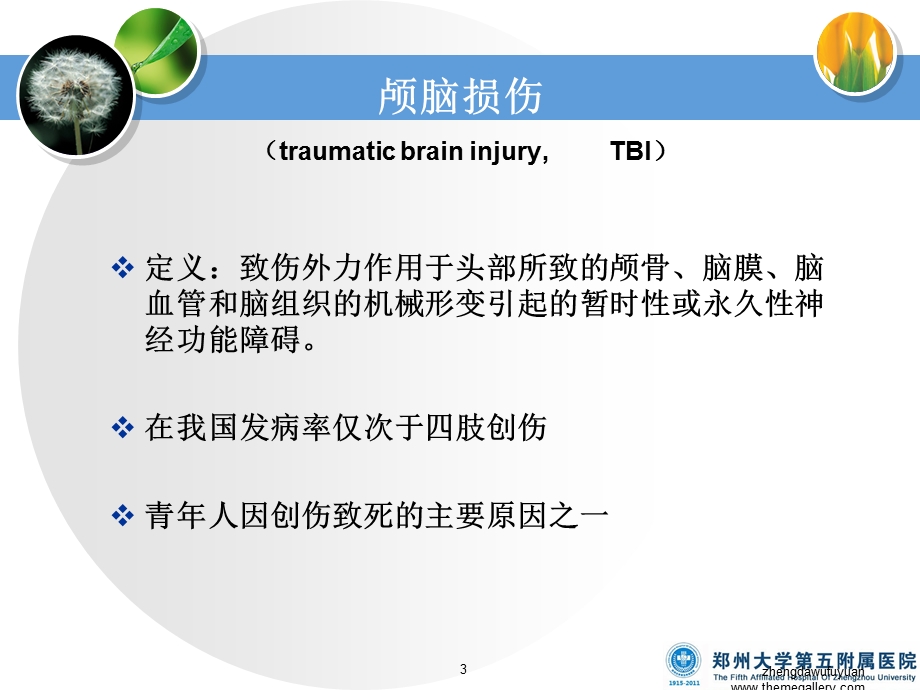 医学课件第五部分神经系统常见病损的康复第二部分颅脑损伤的康复教学课件.ppt_第3页