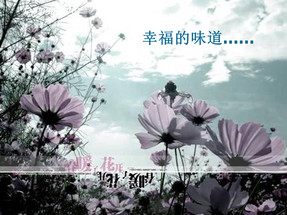 《面朝大海-春暖花开》课件.ppt_第2页