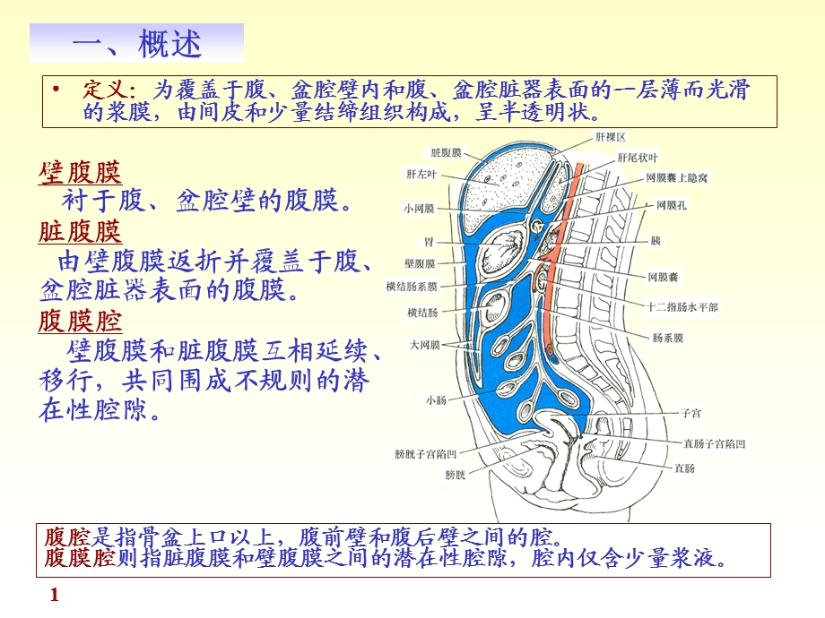 chapter10腹膜精选文档.ppt_第1页