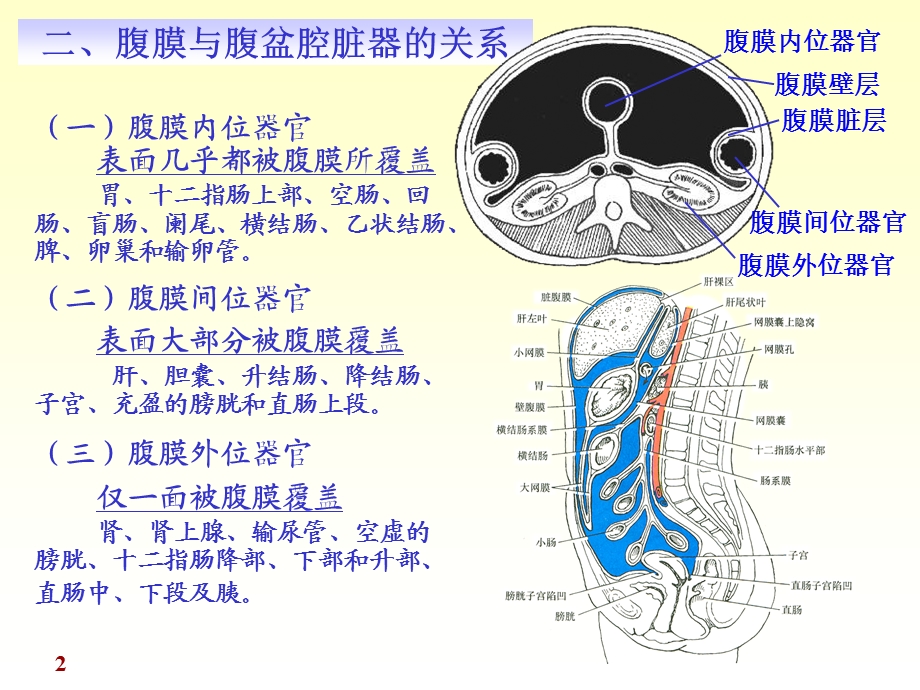 chapter10腹膜精选文档.ppt_第2页