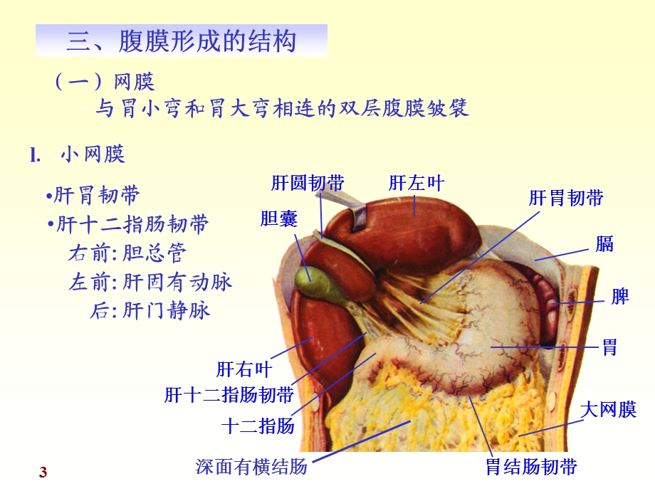 chapter10腹膜精选文档.ppt_第3页