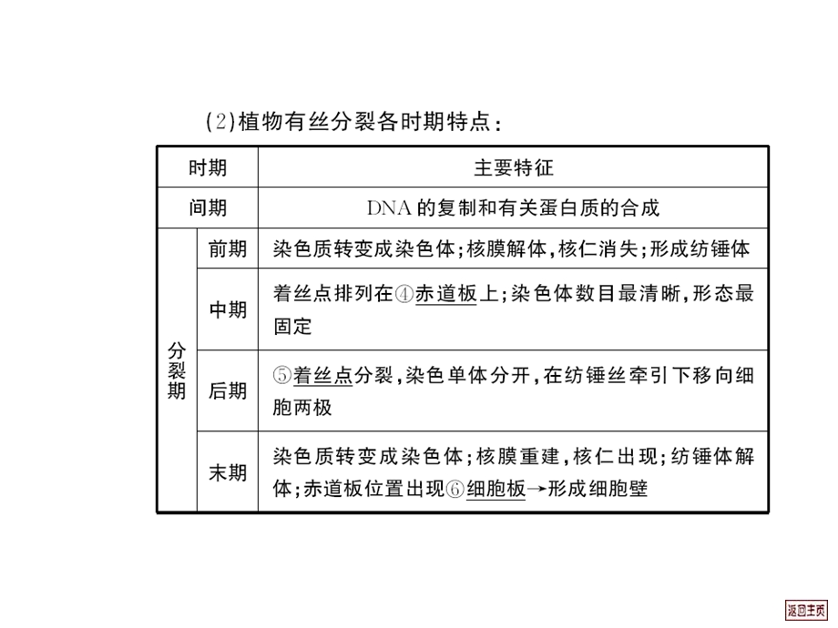 高三生物细胞增殖分化癌变与衰老文档资料.ppt_第2页