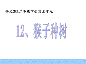 12猴子种树[精选文档].ppt