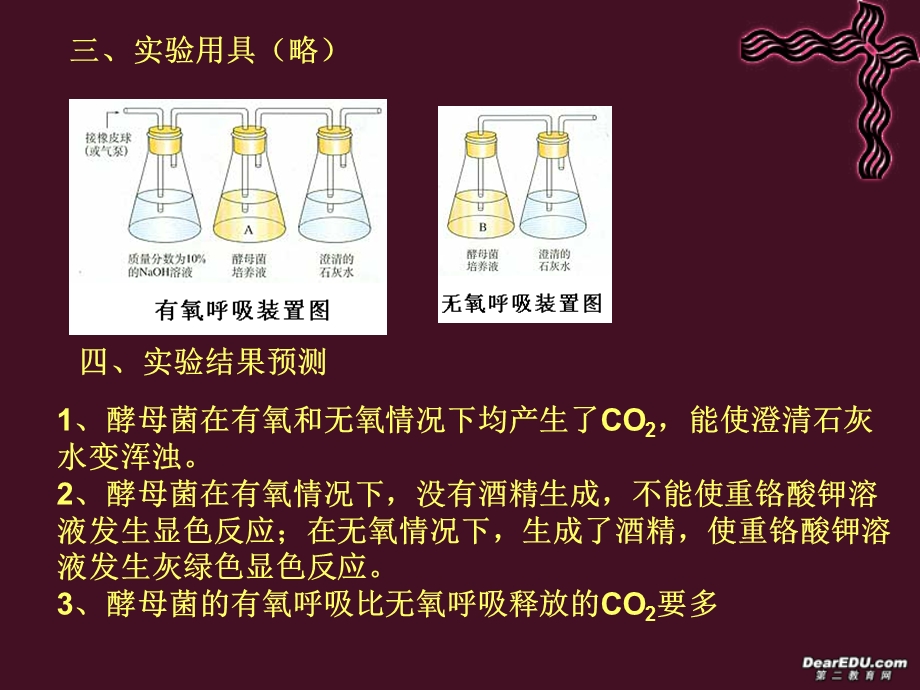 广东省高一生物ATP的主要来源 细胞呼吸课件 新课标 人教版 必修1文档资料.ppt_第2页