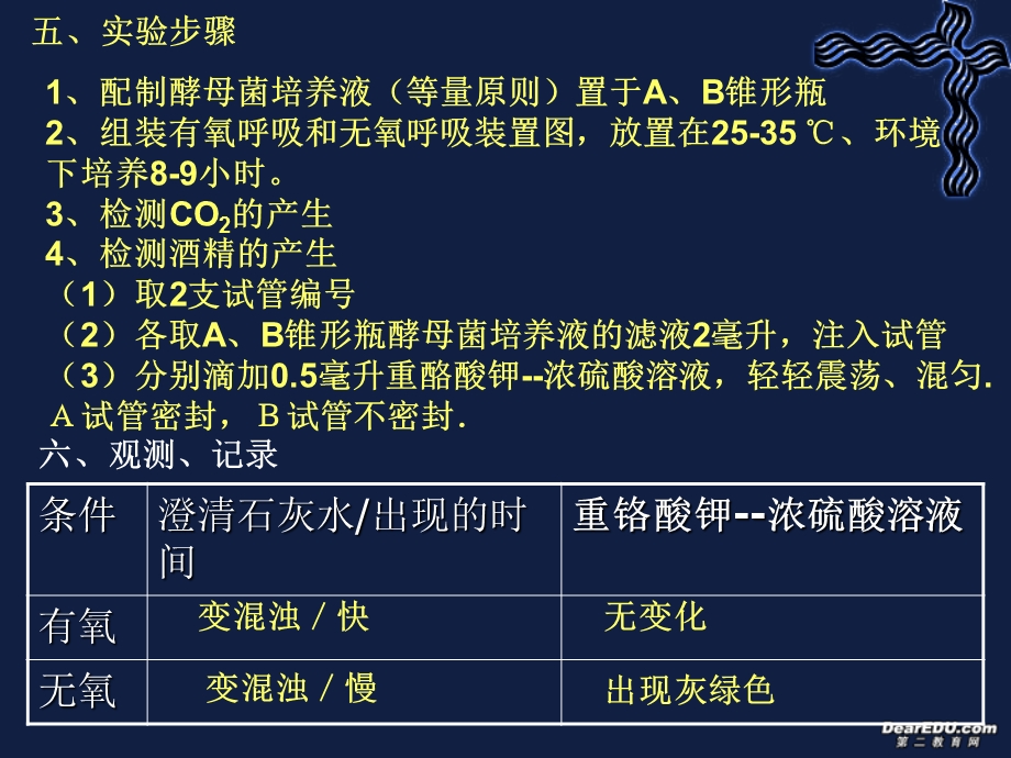 广东省高一生物ATP的主要来源 细胞呼吸课件 新课标 人教版 必修1文档资料.ppt_第3页