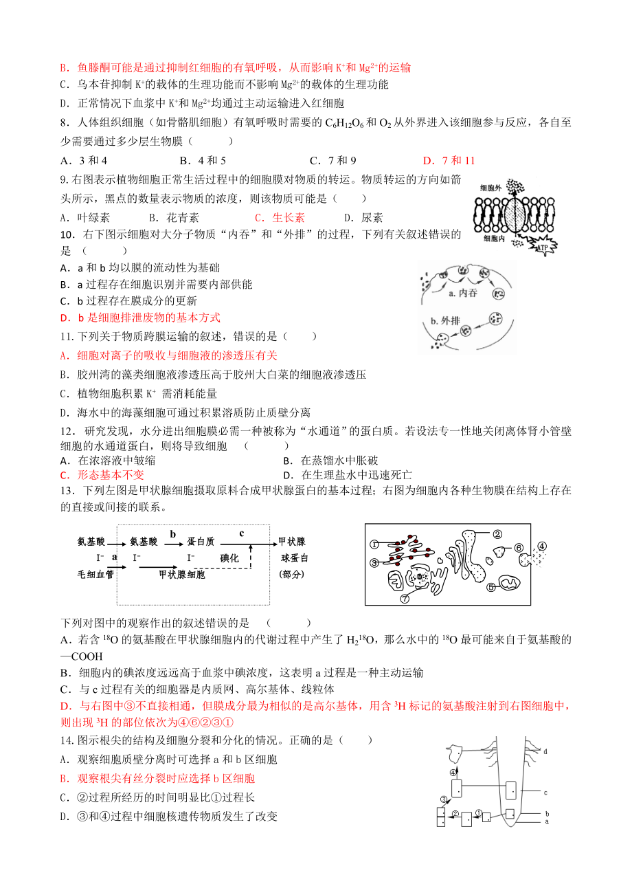 专题3物质出入细胞的方式练习题【】[精选文档].doc_第2页