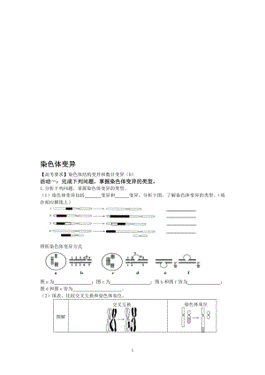 5.2染色体变异试题张晓琴[精选文档].doc