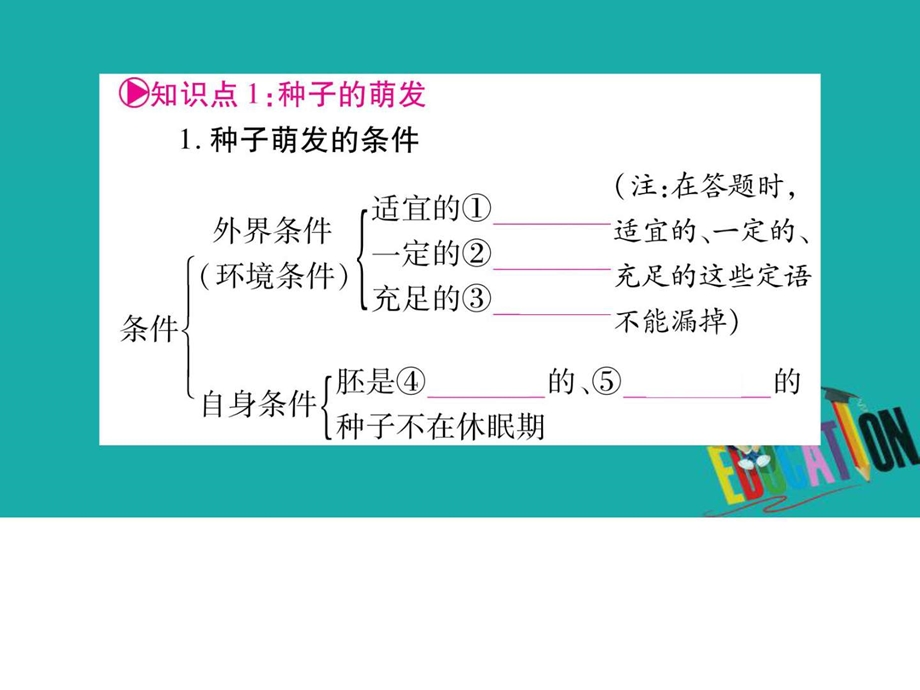 最新中考生物总复习教材考点梳理七上第3单元第2章被子..ppt_第2页