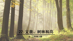 3年级上册语文课件22 父亲、树林和鸟 人教部编版 (共37张PPT)教学文档.ppt