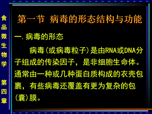 4非细胞型微生物的形态与分类文档资料.ppt