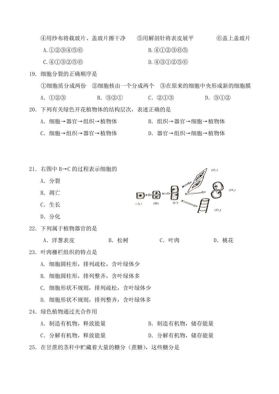 初一第一学期期末复习测试题2[精选文档].doc_第3页