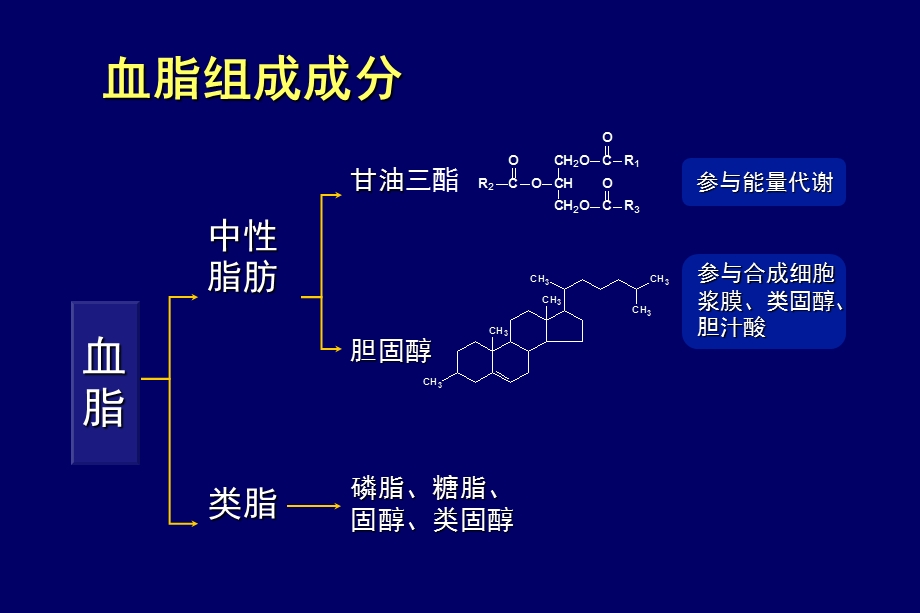 医学课件社区血脂异常防治课件.ppt_第2页