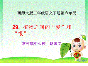 29植物的爱和恨[精选文档].ppt