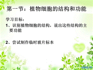 31植物细胞结构和功能[精选文档].ppt