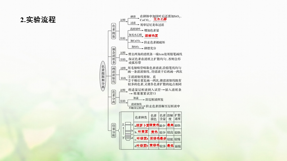 高考生物一轮复习第三单元细胞的能量供应和利用第10讲光合作用的探究历程与基本过程课件精选文档文档资料.ppt_第2页