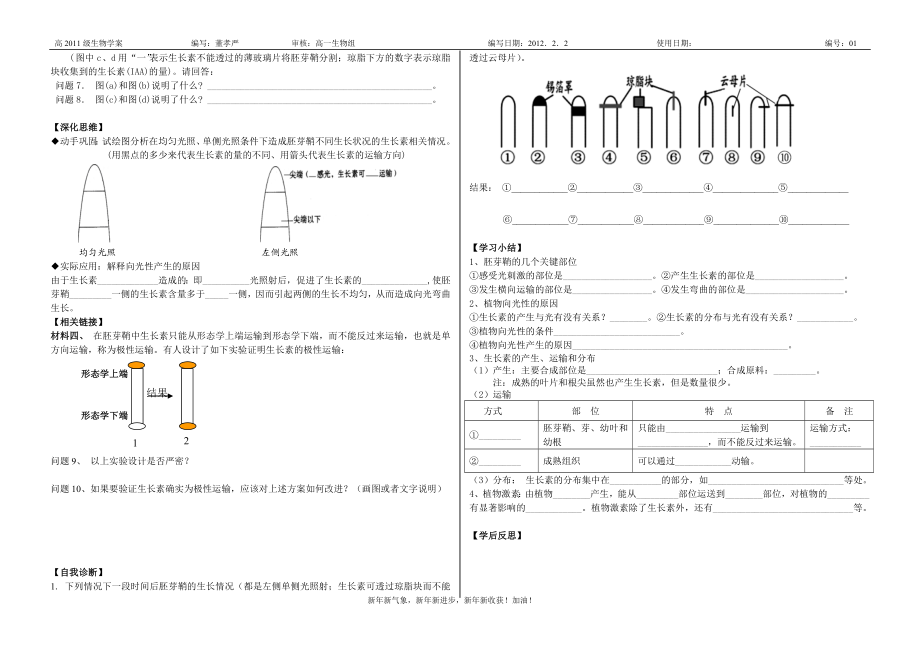 3.1植物生长素的发现学案董孝严[精选文档].doc_第2页