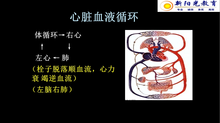 1心力衰竭分课件文档资料.ppt_第2页