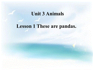 三年级下册英语课件－Unit 3Lesson 1 These are pandas｜鲁科版五四制三起 (共25张PPT).ppt