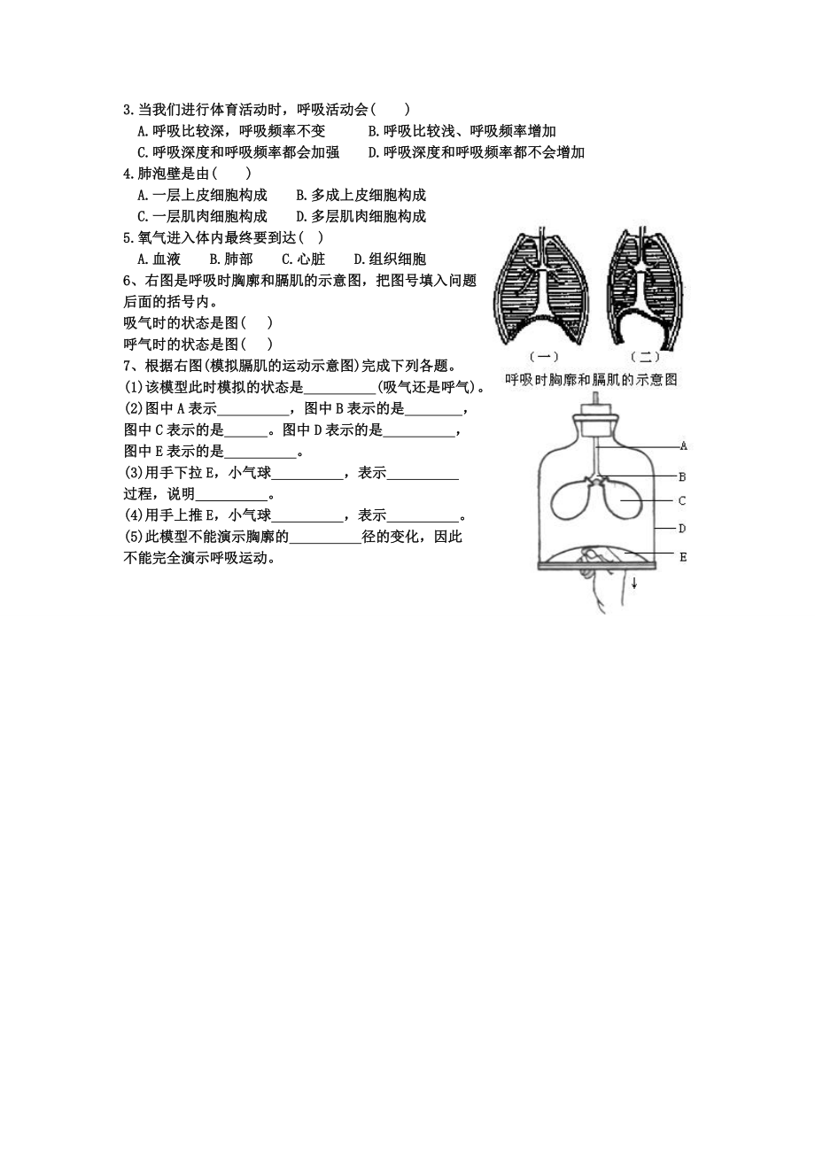 发生在肺内的气体交换导学案肖鹏[精选文档].doc_第3页