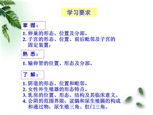 09解剖学女性生殖系统临床专业ppt课件精选文档.ppt