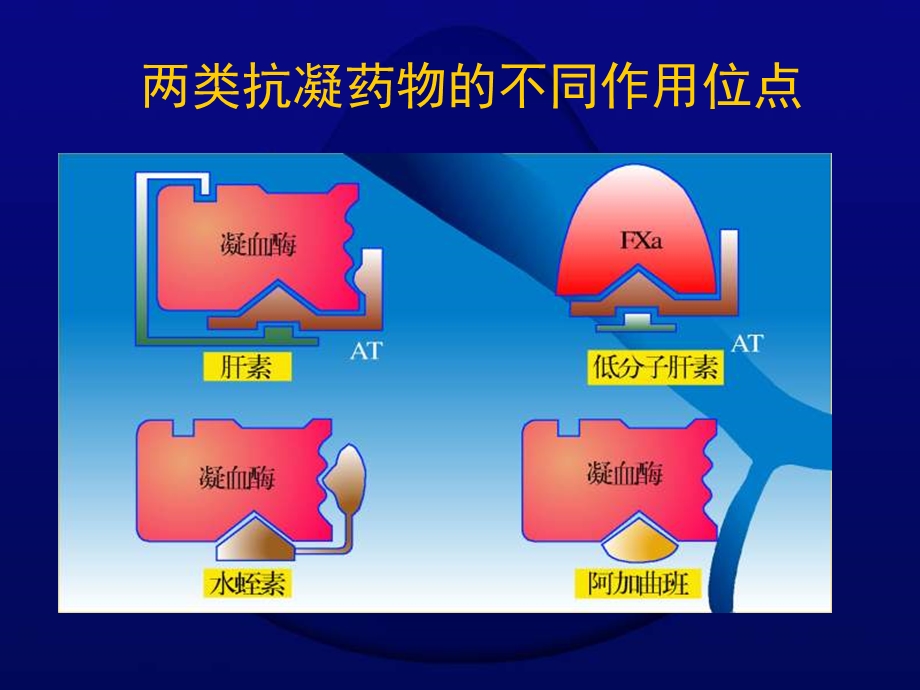 医学课件直接凝血酶抑制剂诺保思泰临床应用进展课件.ppt_第3页