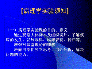 a第一次实验血液循环障碍PPT文档.ppt