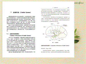 医学课件神经系统疾病定位诊断学0708.ppt