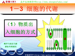 高考生物一轮复习课件物质出入细胞的方式PPT文档.ppt