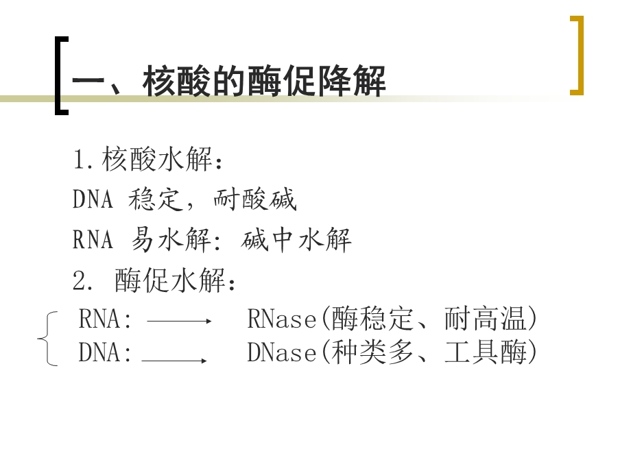 第八章核酸的降解和核苷酸代谢名师编辑PPT课件.ppt_第2页