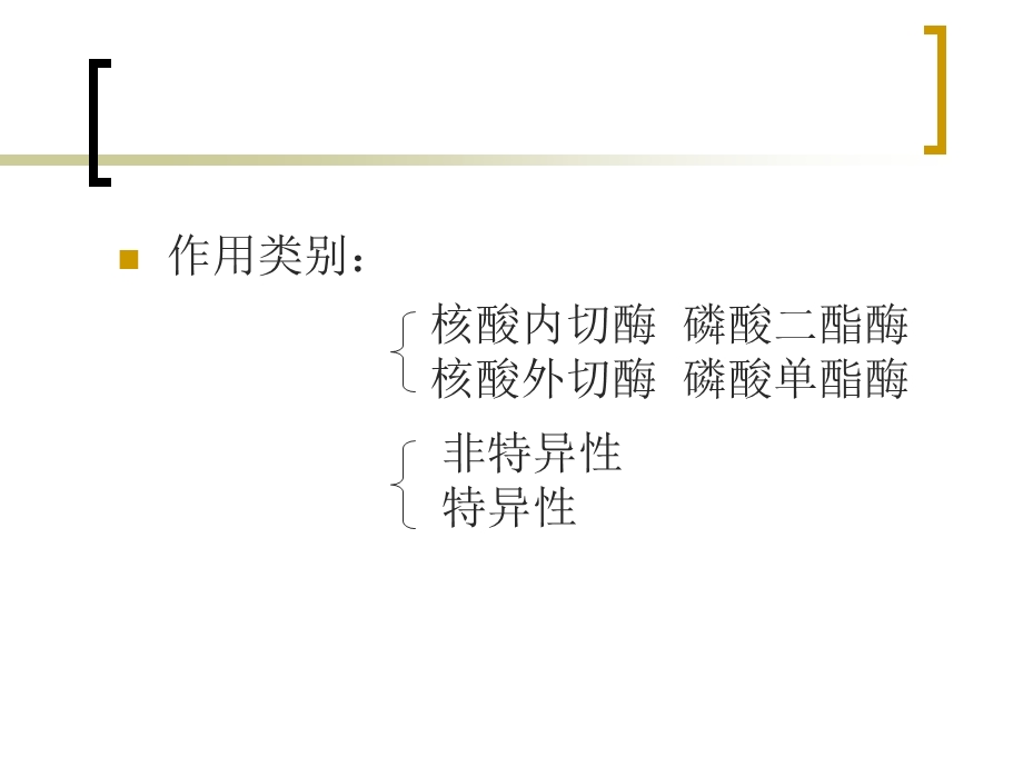 第八章核酸的降解和核苷酸代谢名师编辑PPT课件.ppt_第3页