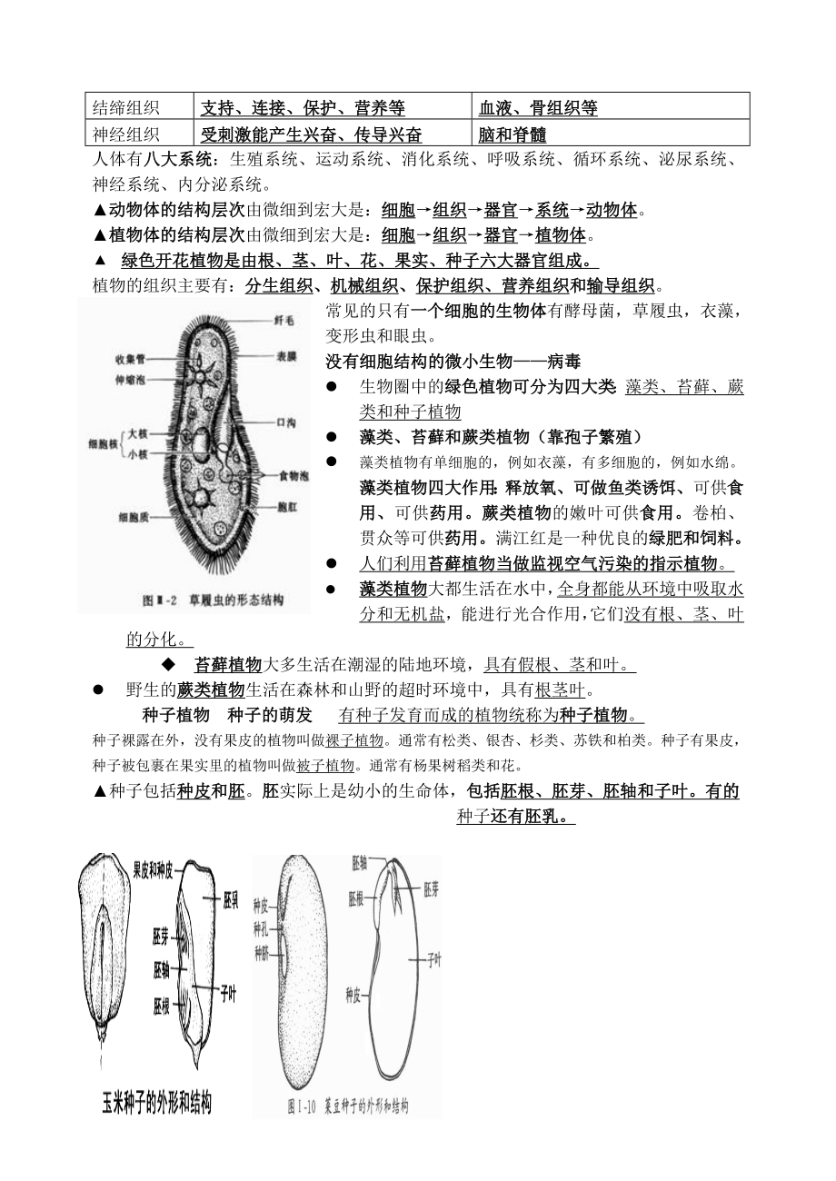 最新人教版生物七年级上册复习提纲肖鹏汇编.doc_第3页